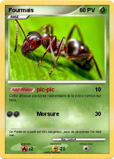Pokemon Fourmais