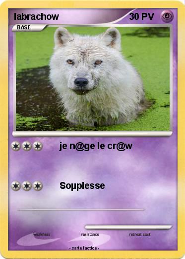 Pokemon labrachow