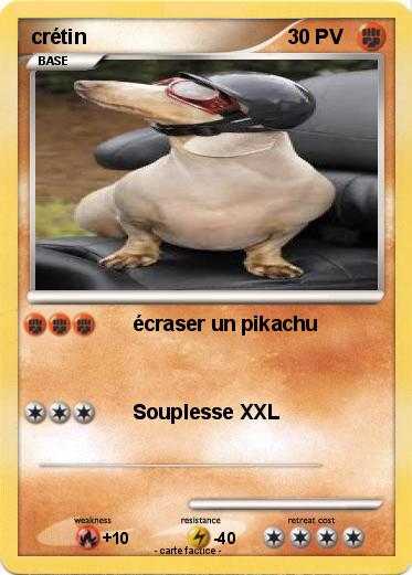 Pokemon crétin