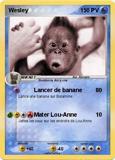 Pokemon Wesley