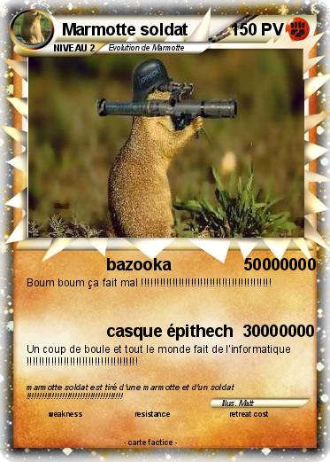 Pokemon Marmotte soldat