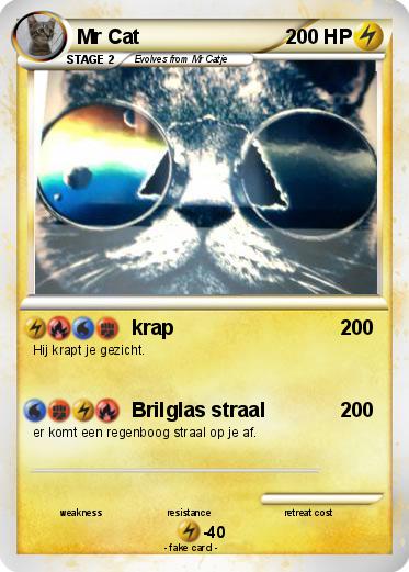 Pokemon Mr Cat
