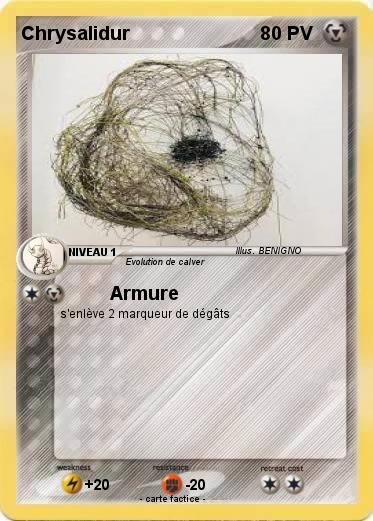 Pokemon Chrysalidur