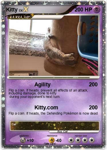 Pokemon Kitty