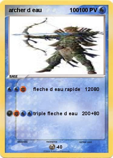 Pokemon archer d eau                  100