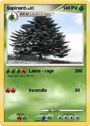 Pokemon Sapinard