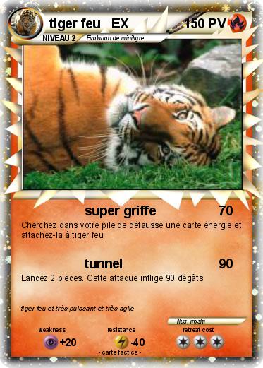 Pokemon tiger feu   EX
