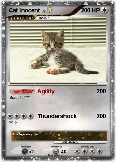 Pokemon Cat inocent