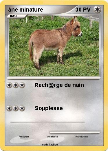 Pokemon âne minature