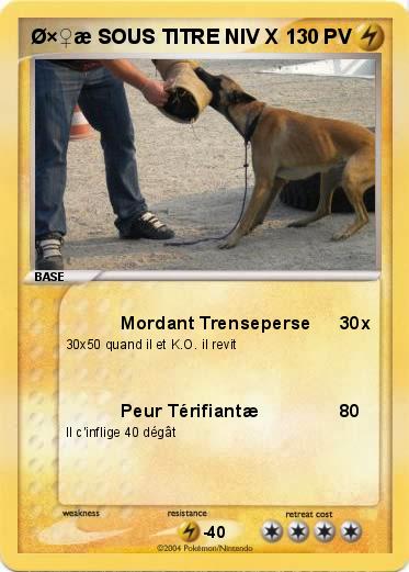 Pokemon Ø×♀æ SOUS TITRE NIV X