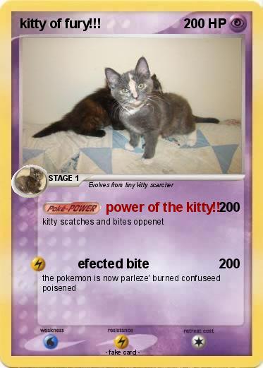 Pokemon kitty of fury!!!