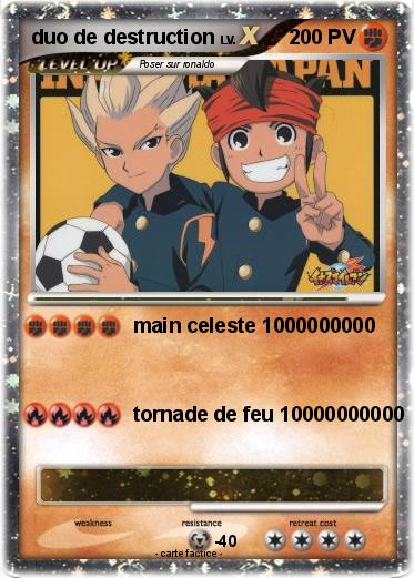 Pokemon duo de destruction