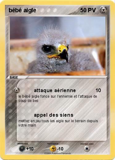 Pokemon bébé aigle