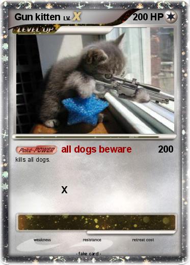Pokemon Gun kitten