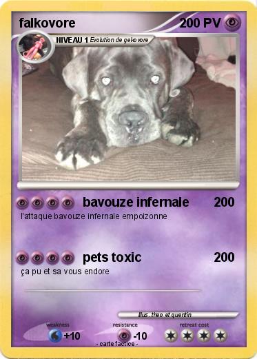 Pokemon falkovore