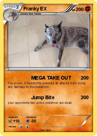 Pokemon Franky EX