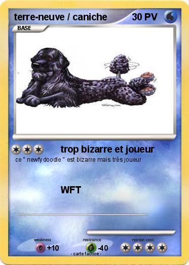 Pokemon terre-neuve / caniche