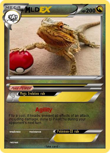Pokemon LD