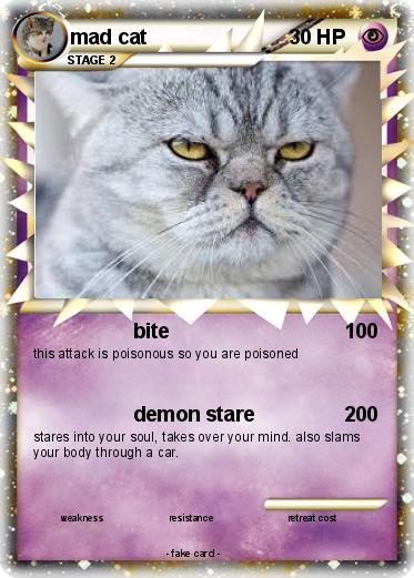 Pokemon mad cat