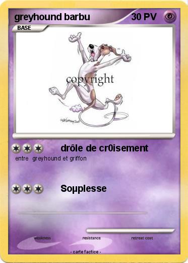 Pokemon greyhound barbu
