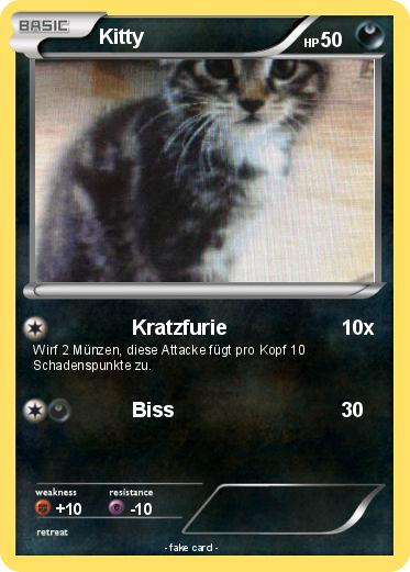 Pokemon Kitty