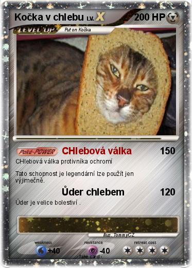Pokemon Kočka v chlebu