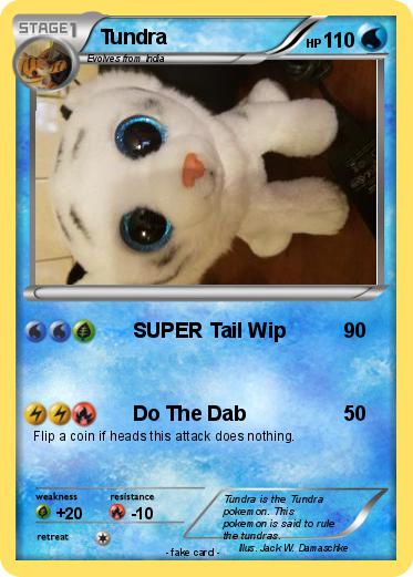 Pokemon Tundra