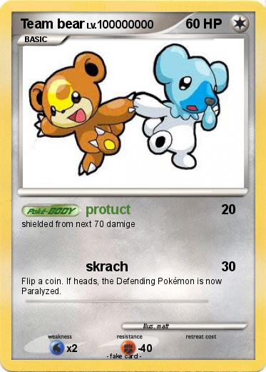 Pokemon Team bear