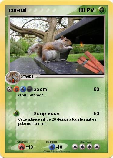 Pokemon cureuil