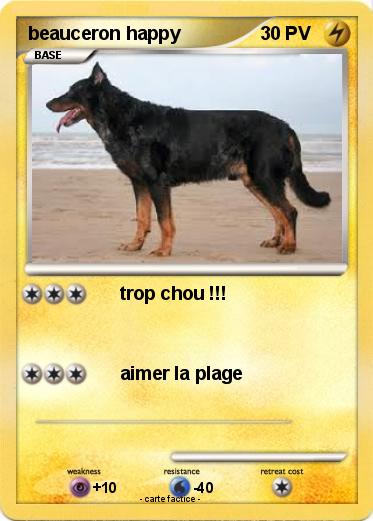 Pokemon beauceron happy