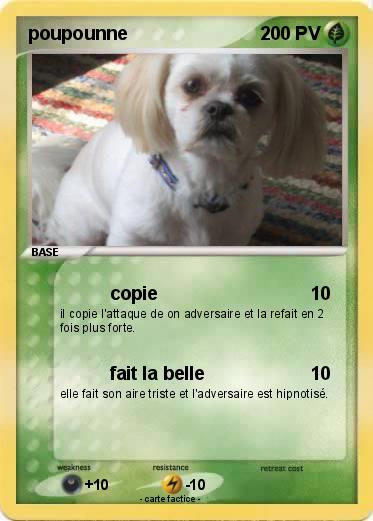 Pokemon poupounne