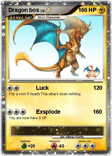 Pokemon Dragon bos