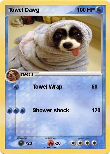 Pokemon Towel Dawg