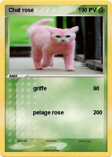 Pokemon Chat rose