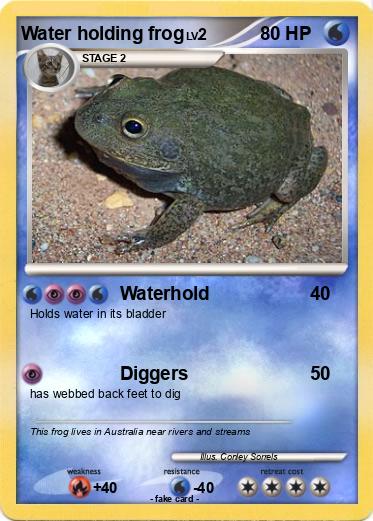 Pokemon Water holding frog