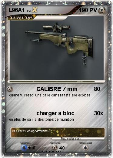 Pokemon L96A1