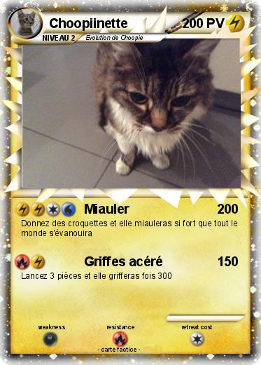 Pokemon Choopiinette