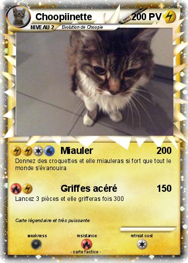 Pokemon Choopiinette