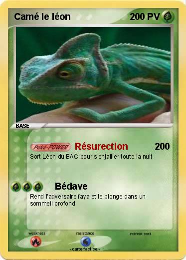 Pokemon Camé le léon