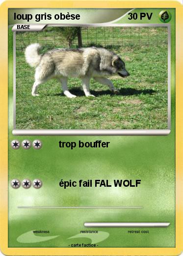 Pokemon loup gris obèse