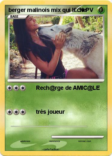 Pokemon berger malinois mix qui l£che