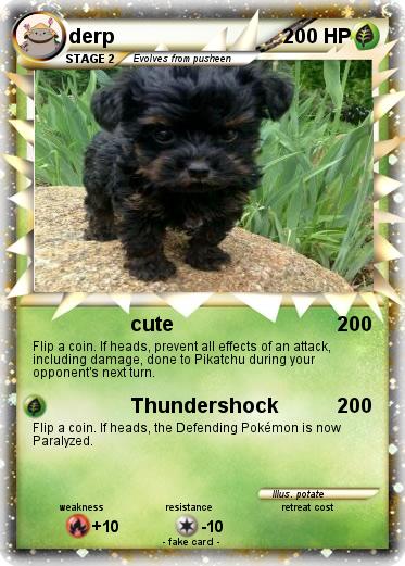 Pokemon derp