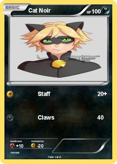 Pokemon Cat Noir