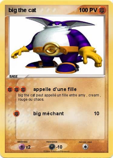 Pokemon big the cat
