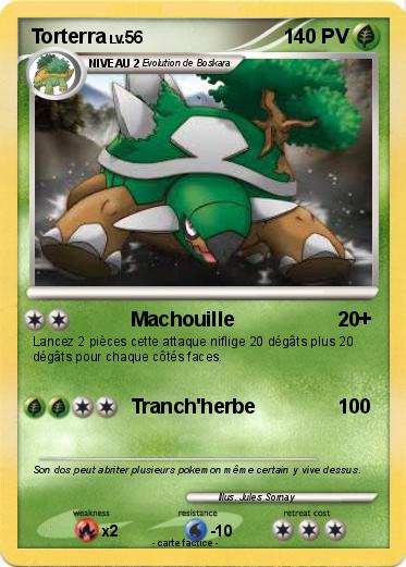 Pokemon Torterra