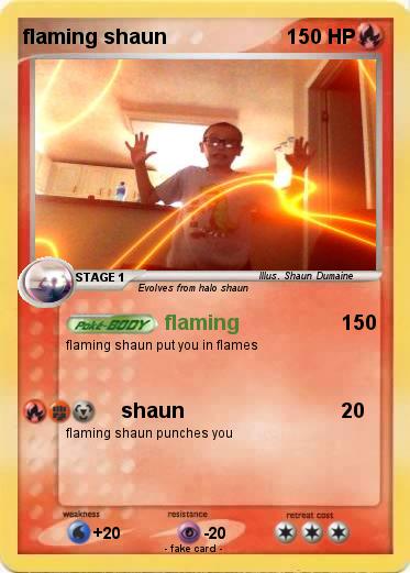 Pokemon flaming shaun