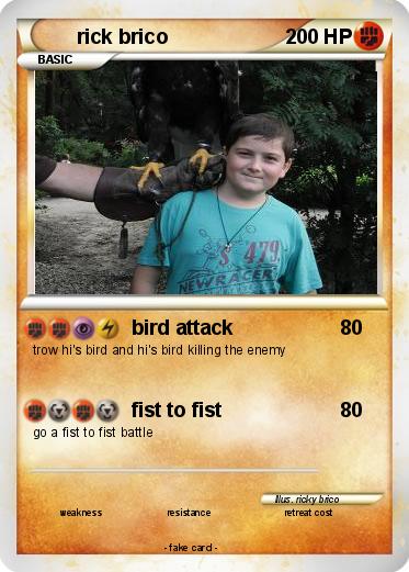 Pokemon rick brico