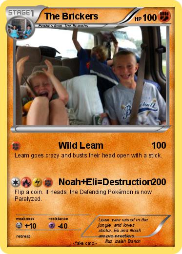 Pokemon The Brickers