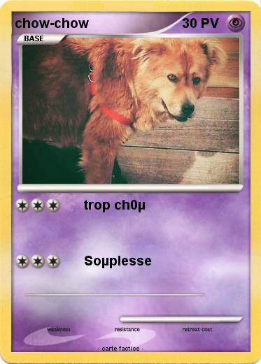 Pokemon chow-chow