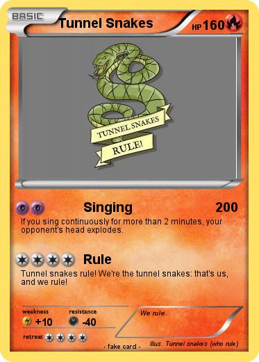 Pokemon Tunnel Snakes